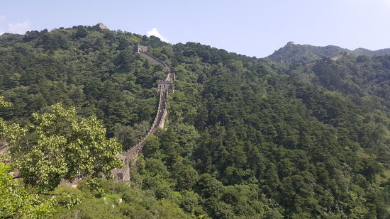 Es kribbelt, wenn man die Mauer sieht...