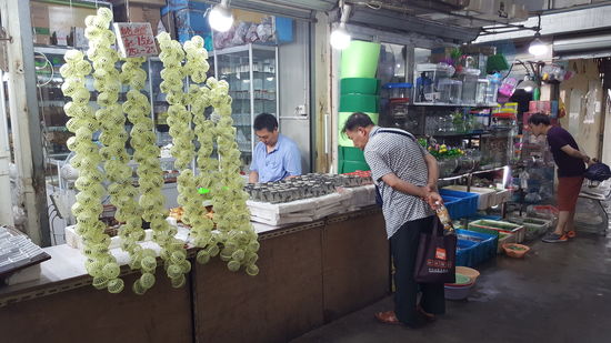 In den Grünen runden "Käfigen" die links wie eine Girlande aneinandergereiht sind ,befinden sich auch Grillen