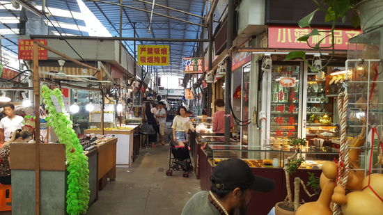 Leider sind hier auch hochgezüchtete Katzen und Hunde auf kleinstem Raum ausgestellt