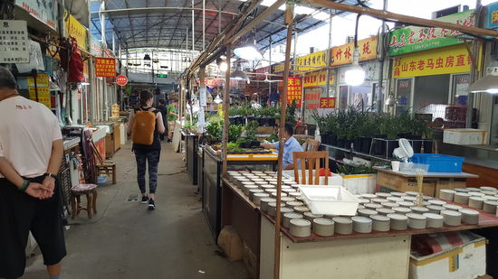 Es gibt allerhand Kleintiere und Zubehör, der Lärm der Zikaden aber fast unertäglich.