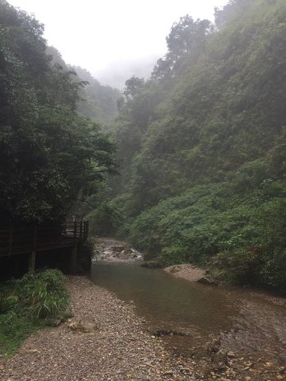 Die Berglandschaft wechselt mit Urwald...