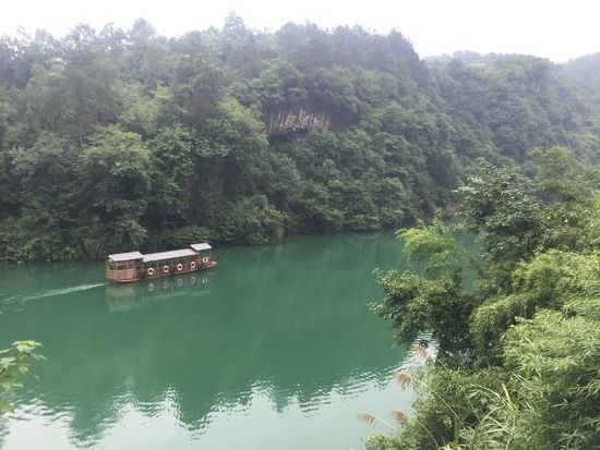 Noch ein Blick zurück: durch diesen Urwald sind wir gegangen
