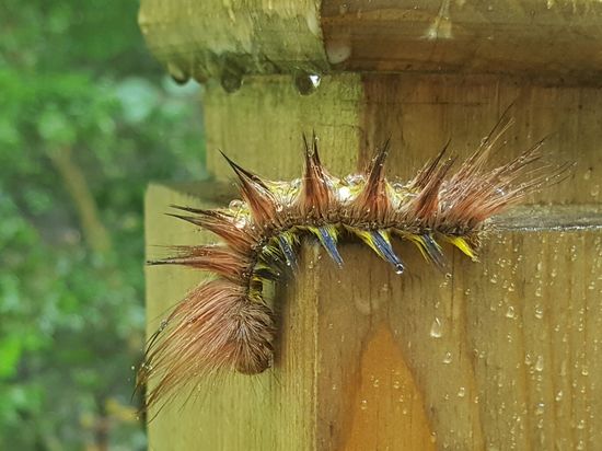....ich halte mich ja immer am Geländer fest....