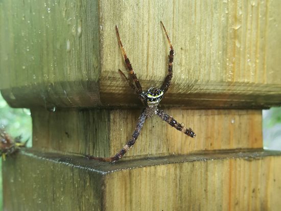 ...aber man muss seine Augen überall haben...