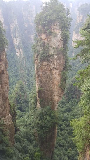 Ist er nicht wunderschön??