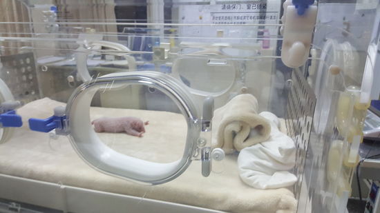 Wir besuchen auch die Aufzuchtstation