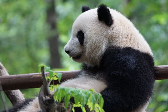 Die sind echt süß...