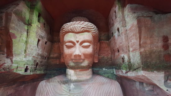 Der Pharmacist- Buddha