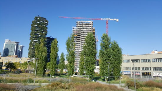Dies ist ein riesiger vertikaler Wald...ein Projekt eines italienischen Architekten