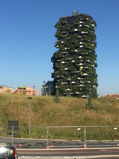 ...mit einem Baumbestand von 10.000m2