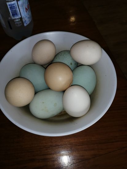 Bunte Eier lachen mich an..