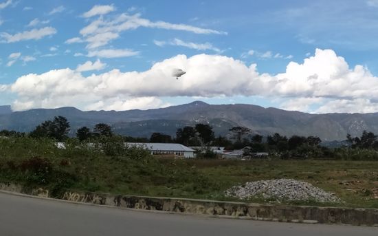 Hier am Hotel sind sie besonders dicht