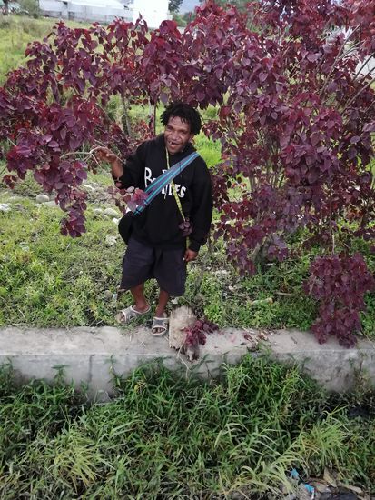 Stolz zeigt er uns diese Bäume und erklärt, dass sie ihm gehören—bzw der Garten...
Das verstehen wir nicht so ganz, überhaupt ist sein Englisch schwer zu verstehen.