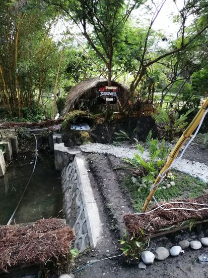 Von oben hat man gute Sicht—diese Krippe habe ich da unten nicht gesehen...