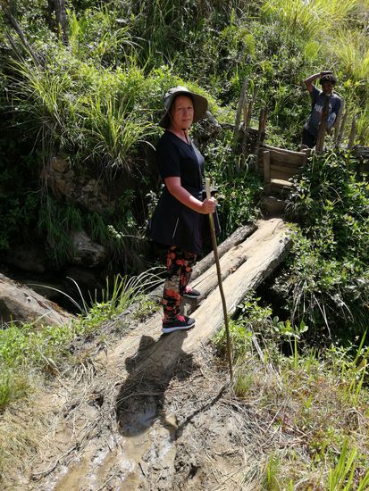 Wir verlassen „Baliem Valley“ und befinden uns in „Mohi Valley“