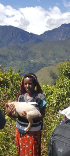 Tatsächlich war da ein Schwein drin