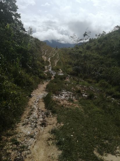 Weiter gehts. Ich schreibe mit Absicht das Wort Guide für Kanak in Häkchen, denn so langsam merken wir, dass ihm doch da einige Eigenschaften fehlen. Er bespasst uns und kennt den Weg...