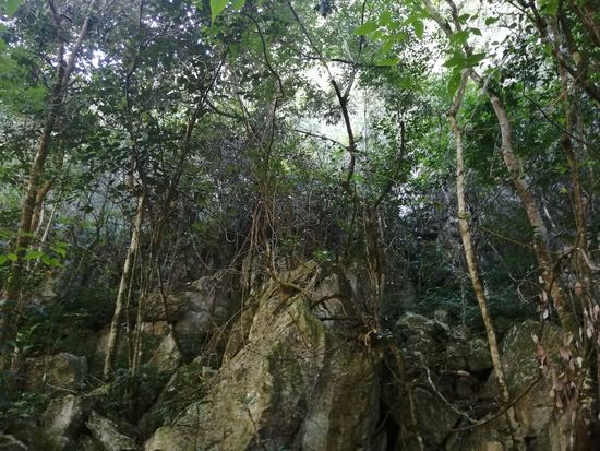 Die Höhle von außen