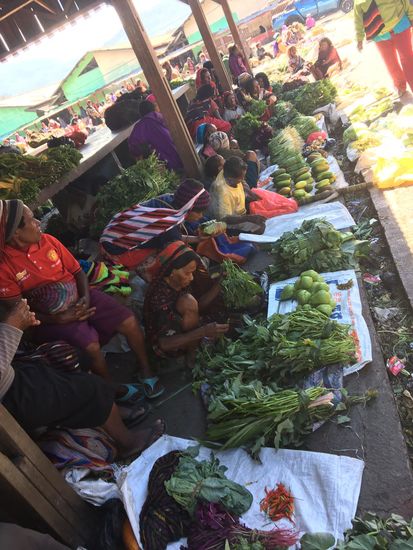 Wir kaufen jede Menge Knobi, Zwiebeln, Gurken, Tomaten...