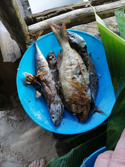 Der Fisch ist SOWAS von lecker!!!!!