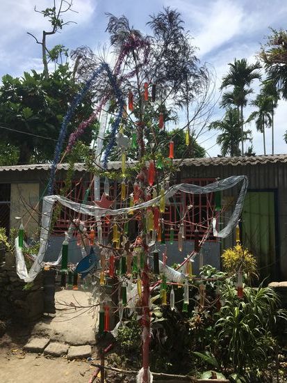 Wir gehen durch kleine Nebenstrassen Richtung Hauptstraße und bestaunen die verschiedensten Weihnachtsbäume aus