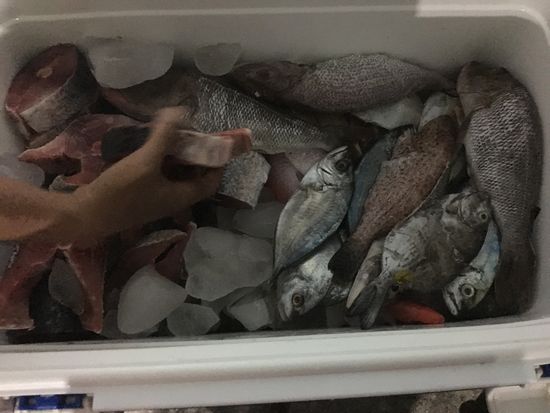 Aus der Kühlbox sollen wir auswählen. Die Mädels entscheiden sich für Chicken