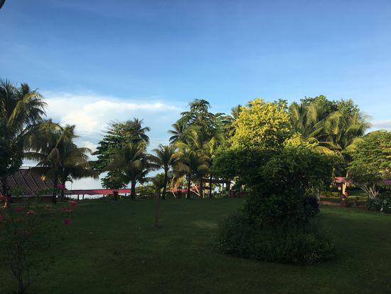 Heute kurz nach 6 Uhr...Blick von unserer Balkonterasse, dazu ein Tässel einheimischen Café genießen...das nenne ich Lebensqualität