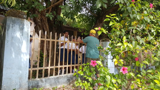 Hinter den Zaun geluchst...