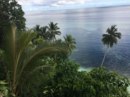 siehe Bild oben, Aufnahme - nach links geschenkt