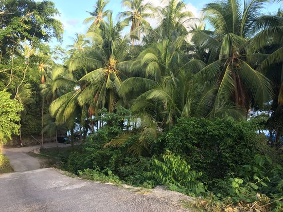 Steile Zufahrt zum Strand...jippi und das mit dem feschen Motobike