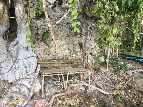 Eine Bank, integriert in den Felsen und Wurzelwerk des Baumes...wie aus der Filmreihe „Fluch der Karibik“