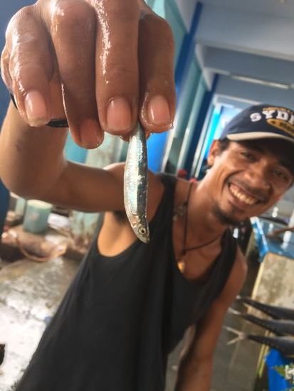 Unser Abendessen, ich habe aber gleich 2 Stück mitgenommen...