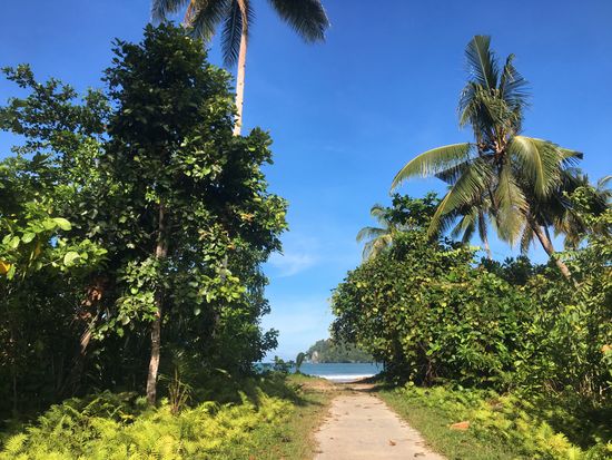 Unsere Ziele liegen heute alle weiter weg im Norden der Insel—das wäre per Moped zu unkonfortabel
