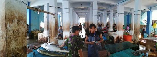 Heute ist Dienstag, und somit auch Fischmarkt...