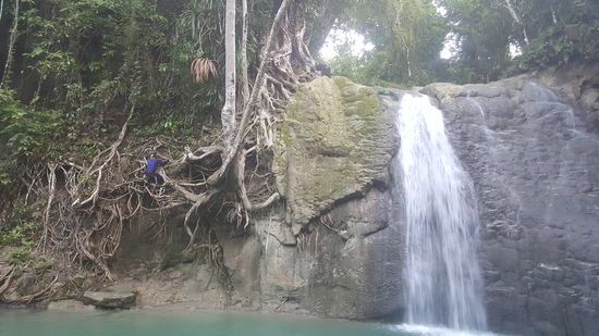 Da krabbelt der erste an den Wurzeln hoch