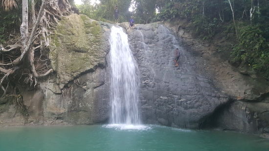 Da krabbeln die nächsten rechts an der Wand hoch...