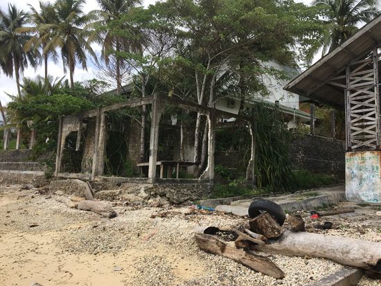 völlig mit Bäumen eingewachsene Ruine neben der Slipanlage