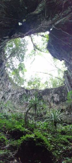 Hier wachsen inzwischen Palmen...