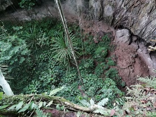 Dann gehen wir auch noch den Rundweg oben herum und können hineinschauen...