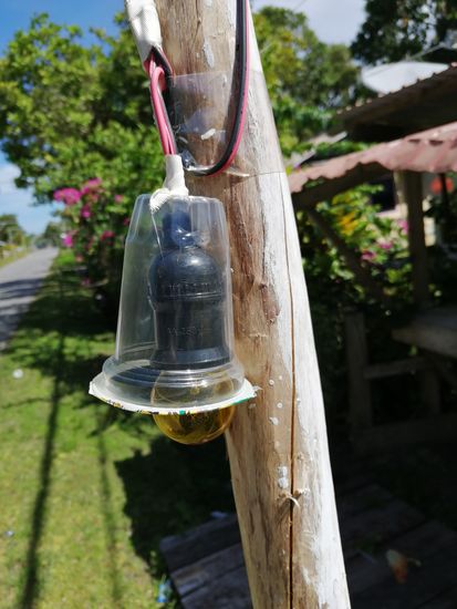 ...genialer Regenschutz, Recycling live und in Farbe
