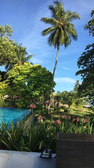 Nochmals die Blicke über die Anlage schweifen lassen und die Herlichkeit der immergrünen Landschaft genießen.