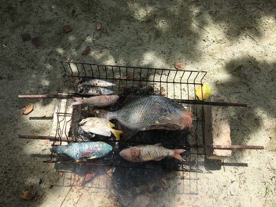 Der Riesenfisch braucht lange bis er gar ist...