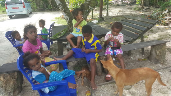 Alle bekommen etwas vom Fisch ab...