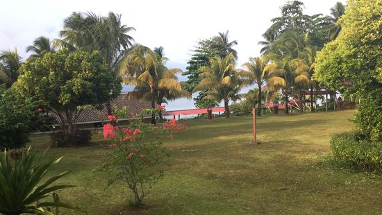 Dieser morgendliche Anblick und das Gezwitschere von den unzähligen einheimischen Vögeln werden wir vermissen...