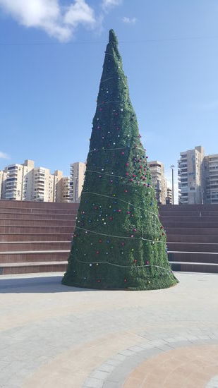 Ein großer, schöner Weihnachtsbaum