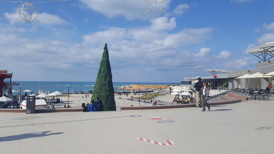 Auch ein großer Weihnachtsbaum steht hier