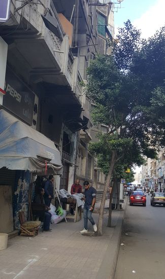 Viele beschädigte Häuser
Immer wieder hören wir Rufe: welcome in Egypt!!