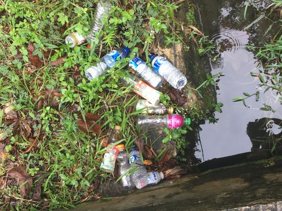 Dirks erste Begegnung mit dem Müll....