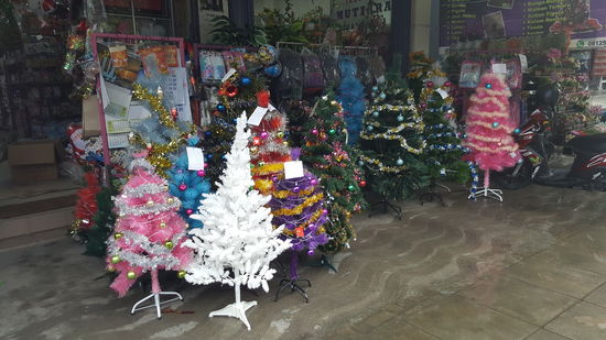 Hier gibt es Weihnachtsbäume zu kaufen...