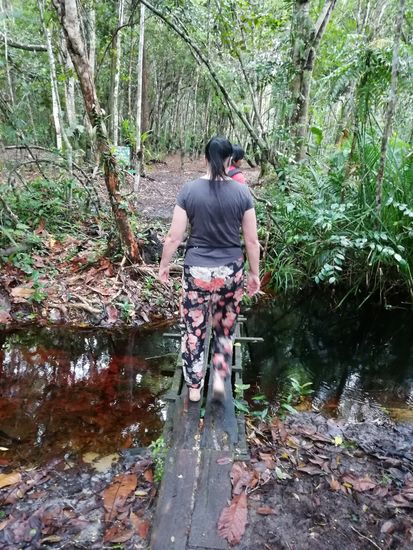 Wir besuchen die erste Fütterungsstation, aber leider haben die Orang Utans bei dem Regen auch keine Lust rauszukommen